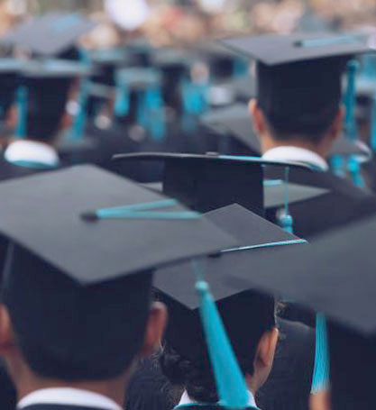 Conseil en Stratégie dans le domaine de l'enseignement supérieur